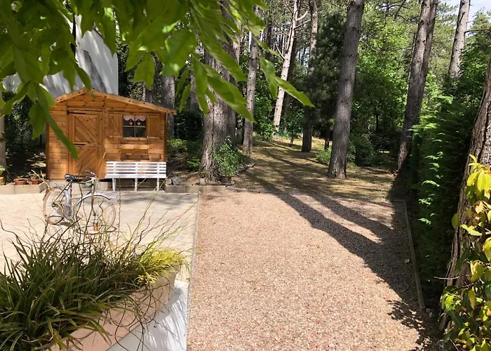 Maison Sapinettes