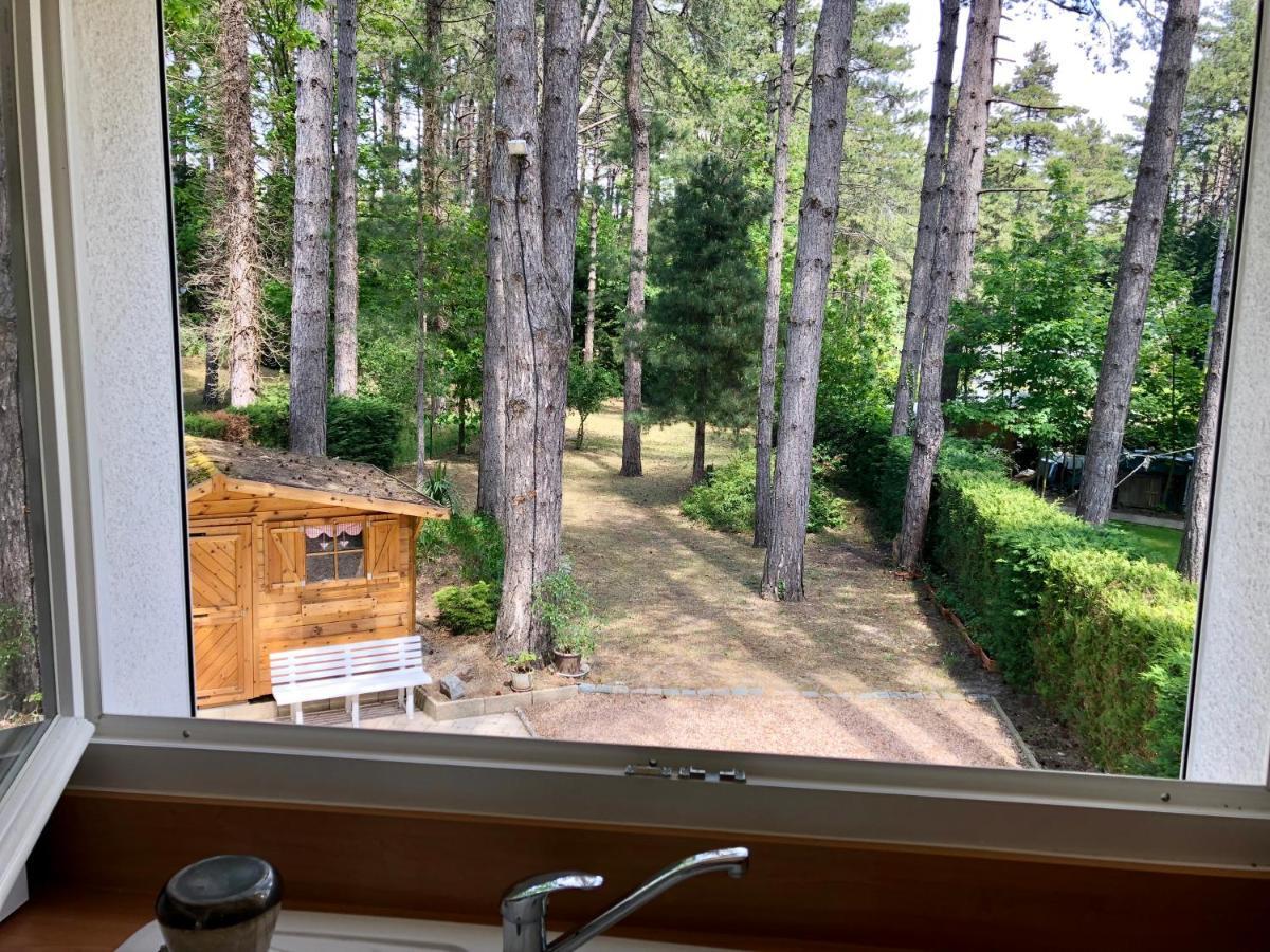 Holiday home Maison Sapinettes *