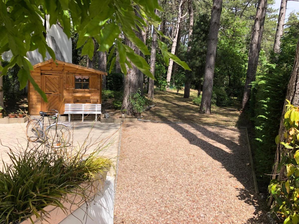 Maison Sapinettes Quend